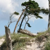 Ferienwohnungen Fründt