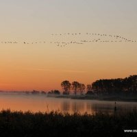 Ferienwohnungen Fründt